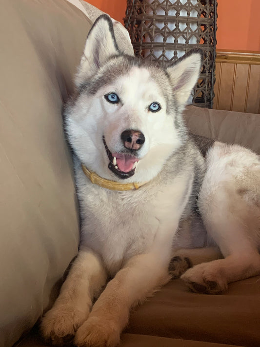 Mika